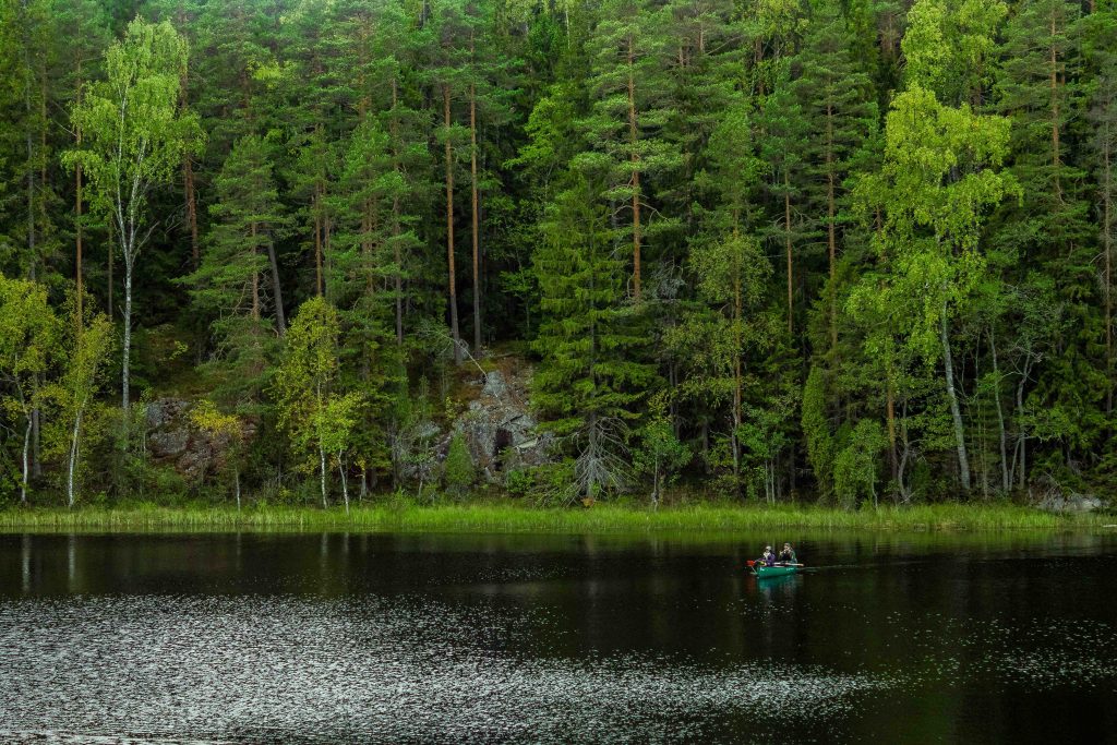 Järvi ja taustalla vihreää metsää.
